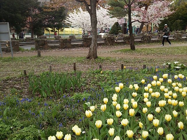 �����炢�Ă��܂���_�~�R����