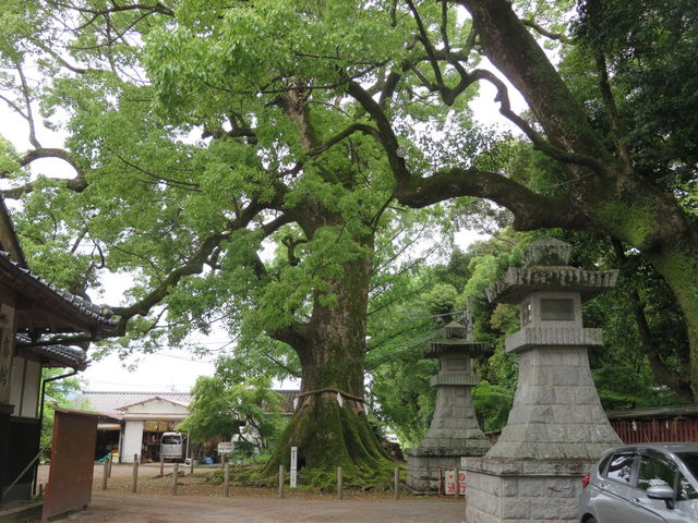 ���_��_�E�_��