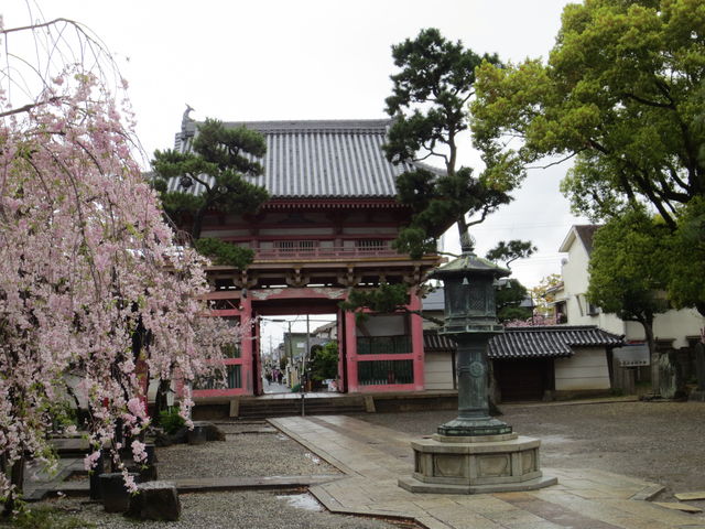 葛井寺