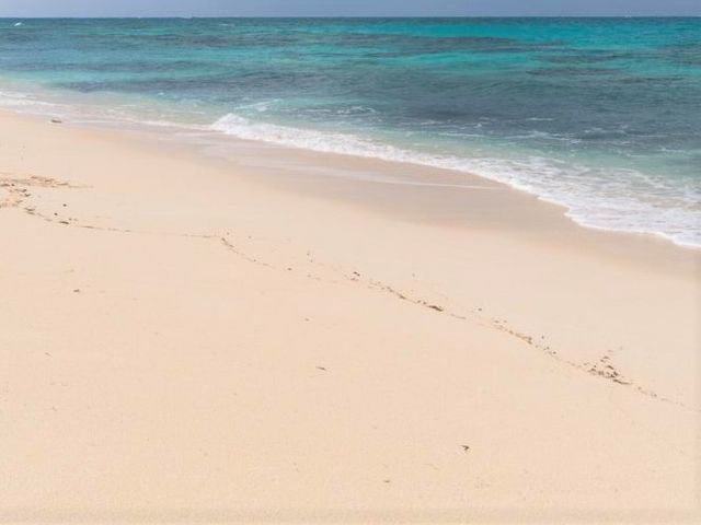 �Y��ȃr�[�`_���ԕl