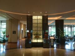 ڂԂ̉n[o[r[ze@K[fXg v^ւ̓eʐ^1