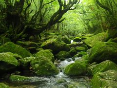 񂳂̉vKChNuւ̓eʐ^1