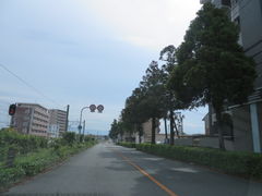 花ちゃんさんの豊後街道菊陽杉並木の投稿写真2