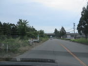 Ԃ񂳂̖LXez؂̓eʐ^1