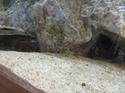 Ԃ񂳂̓̉w Ȃ̓eʐ^1