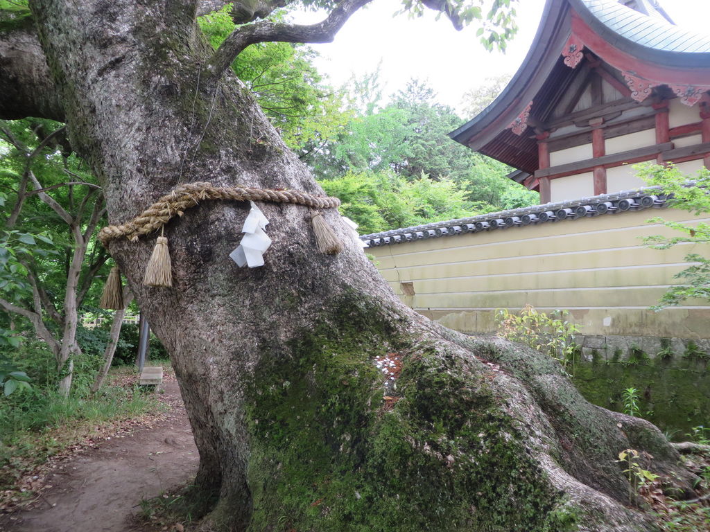 九州の湖沼ランキングtop10 2ページ目 じゃらんnet