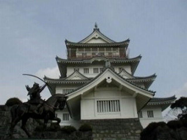 ���h�ł����I_��t���