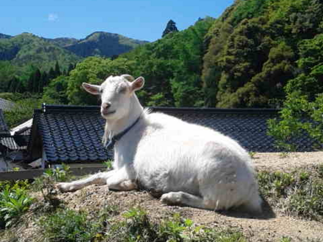 �€�̃R�R�����_��]�m�����B���b�W