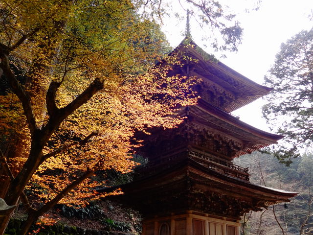 横蔵寺の紅葉 アクセス 営業時間 料金情報 じゃらんnet