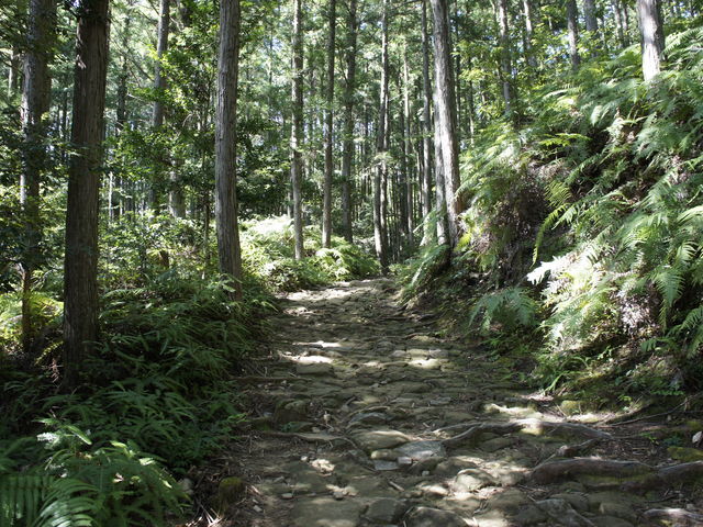 ����ȓ������X�Ƒ����C���[�W�������Ă���_�F��Ó�