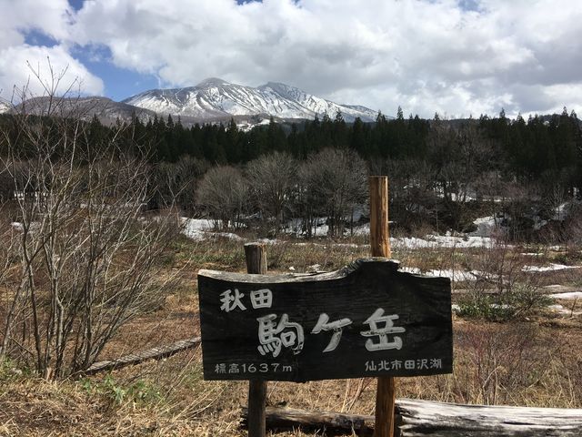 poporon̎c̏HcPx̓eʐ^2