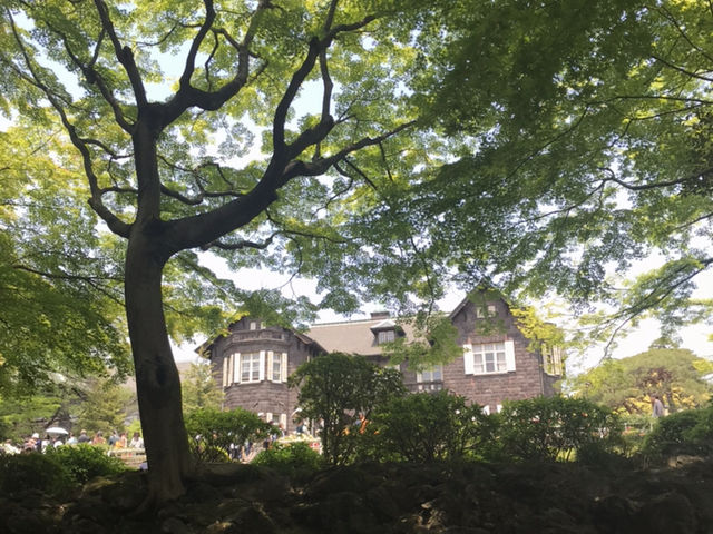 �o�������̓��{�뉀����̗m��_���É͒뉀