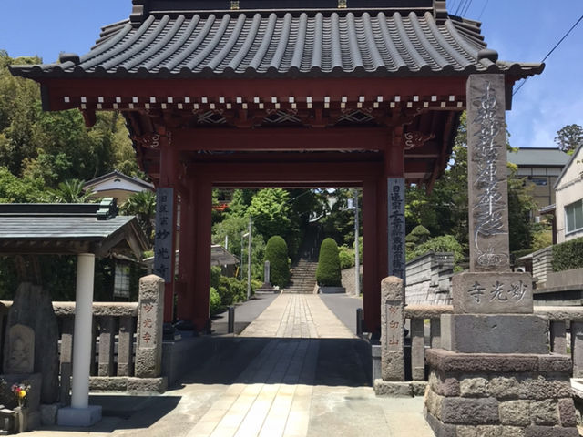 TXL����̖���R�������̓��e�ʐ^1