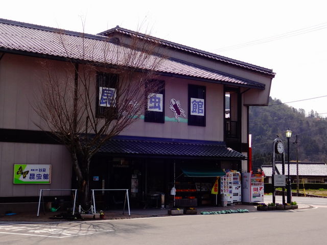 �J��������_�J��������