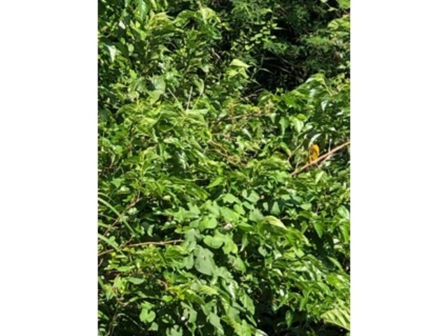 �L��_�����_��