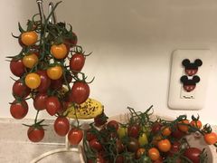 ɂ񂶂キ̂ǂEEH[^[Et@[ւ̓eʐ^2