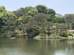 TXL����̘Z�`���@�o���̖��ւ̓��e�ʐ^1