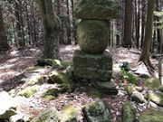 Ђ͂񂳂̎RԐl̓̕eʐ^1