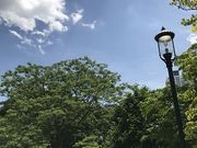 �݂��񂳂�̕����������̓��e�ʐ^1