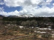 poporon̎c̏HcPx̓eʐ^1