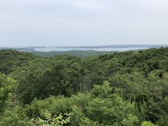 Ђ͂񂳂̈ɐuXJCCւ̓eʐ^1