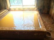 �܂��Ƃ񂿂񂳂�̖{�򉷐�̓��e�ʐ^3