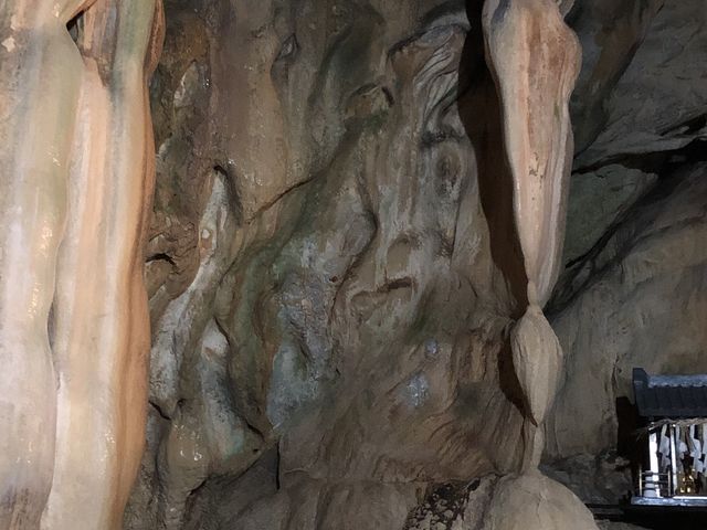 ����N�H_���͓�