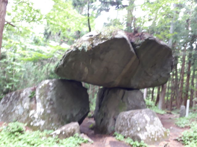 ����_����