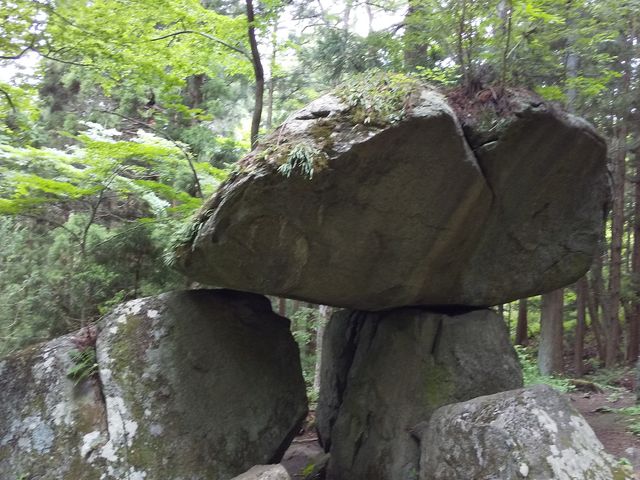 ����_����