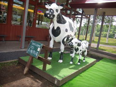 JoeBlack����̍����q��j�Z�R�~���N�H�[�ւ̓��e�ʐ^1