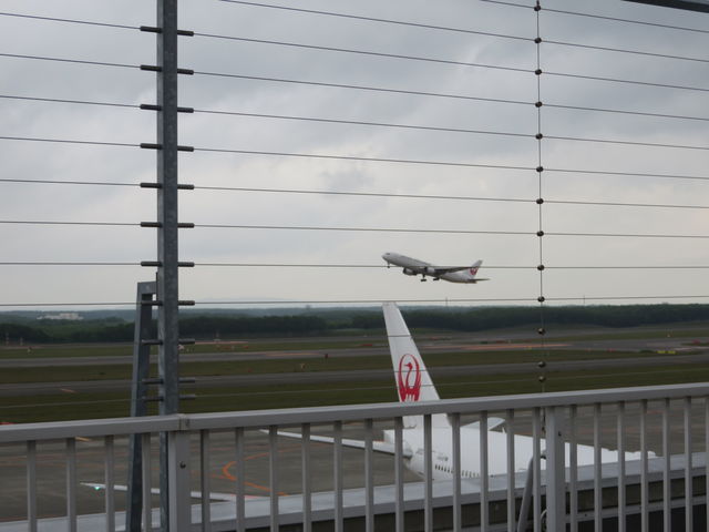 ��������JAL_�V��΋�` �W�]�f�b�L