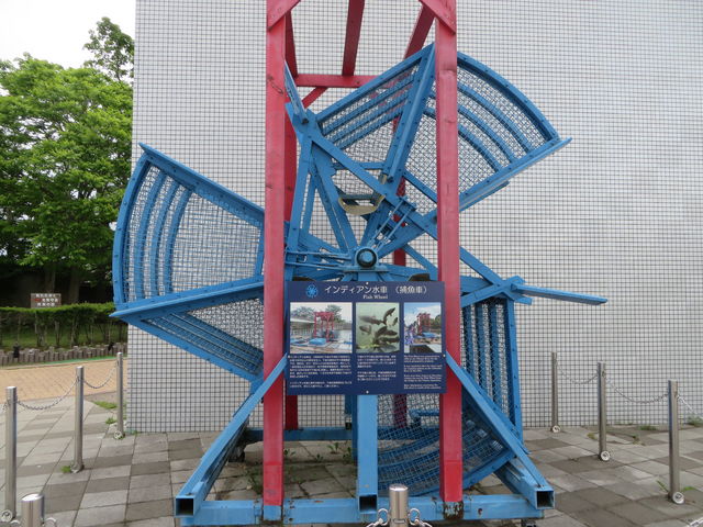 �C���f�B�A������_�C���f�B�A�����ԁi�T�P�̕ߋ��ԁj