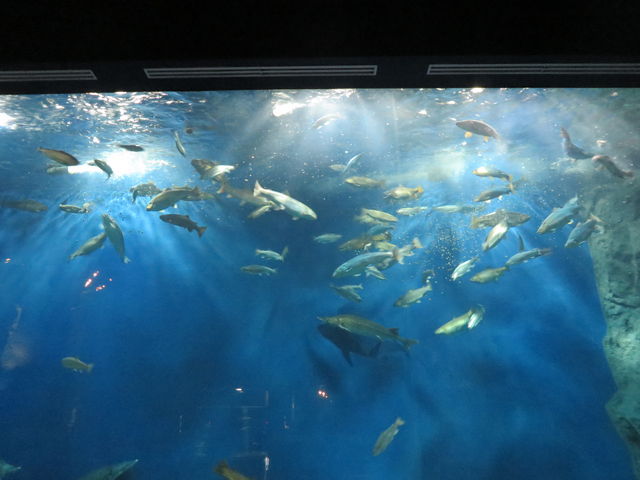 ���̃��O���O�^�C��_�T�P�̂ӂ邳�Ɛ�ΐ�����