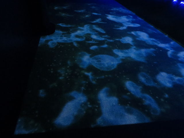 �v���W�F�N�^�[�ɂ��f��_�T�P�̂ӂ邳�Ɛ�ΐ�����