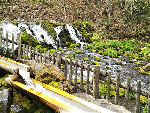 �r���R�̗N����_�r���R�̗N����