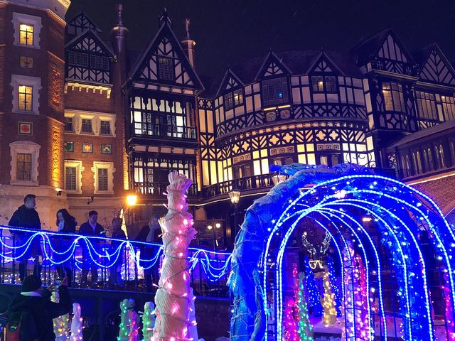 �C���~�l�[�V����_�������l�p�[�N