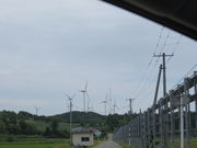 Ԃ񂳂̏㕽O[qECht@[̓eʐ^2