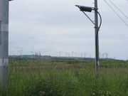 Ԃ񂳂̏㕽O[qECht@[̓eʐ^3