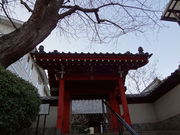 �g�����\����̊C�����l�r��̓��e�ʐ^1