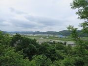 Ԃ񂳂̌ÒOʗ΃u̓eʐ^2