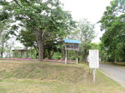 Ԃ񂳂̌ÒOʗ΃u̓eʐ^3