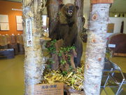 Ԃ񂳂̓ϑOyق̓eʐ^3