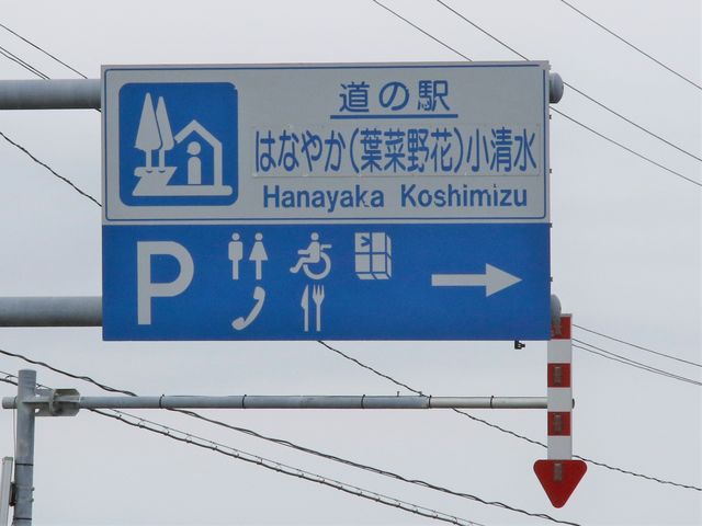 HŔ_̉w@͂Ȃ₩itؖԁj