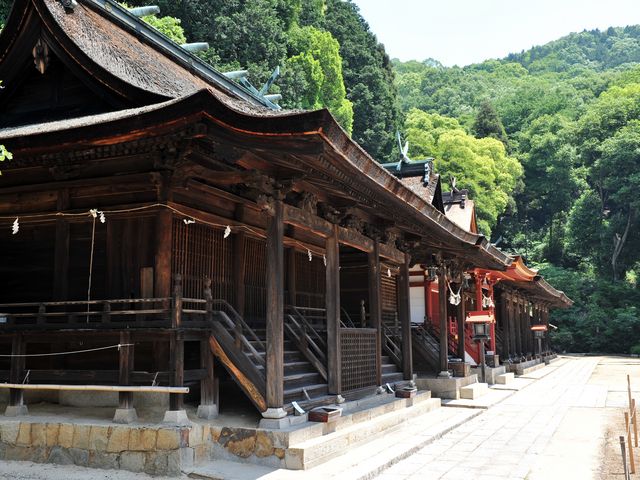 �Гa��������ɂȂ��_�F��_�Ёi���R���q�~�s�j