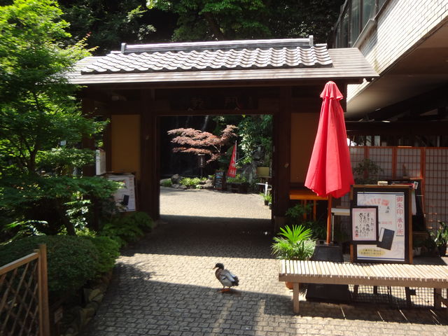 �A�q�����񂪂��o�}��_�ʗ��̑�