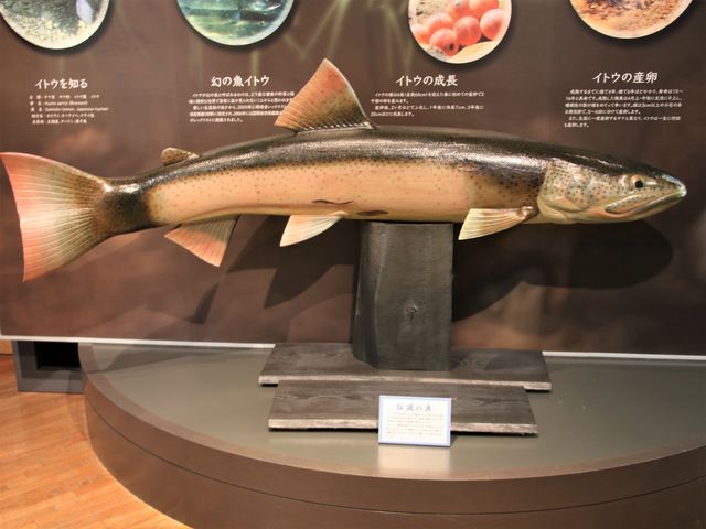 �Q�����L��C�g�E�I_���H�s�����W�]��