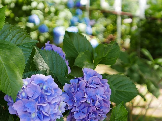 2019.6.20 2:00PM_���y��