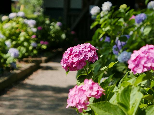 2019.6.20 2:00PM_���y��