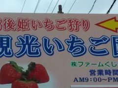 ファームくじらなみ いちご狩り アクセス 営業時間 料金情報 じゃらんnet