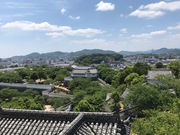 ZUNDAM̕PH鐼̊ۂ̓eʐ^2